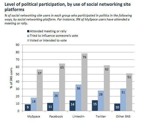 Levels of political participation by social networking site